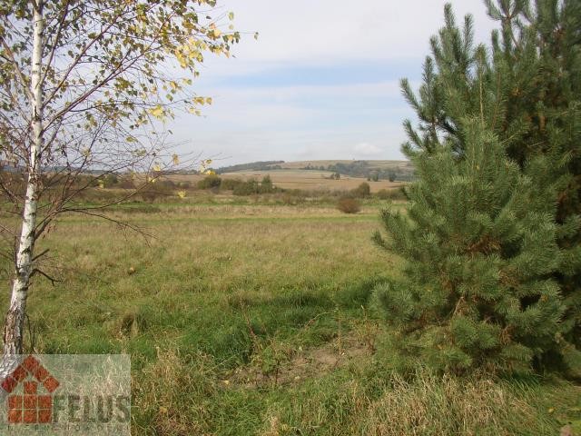 krakowski, Czernichów, Rybna, Działka na sprzedaż