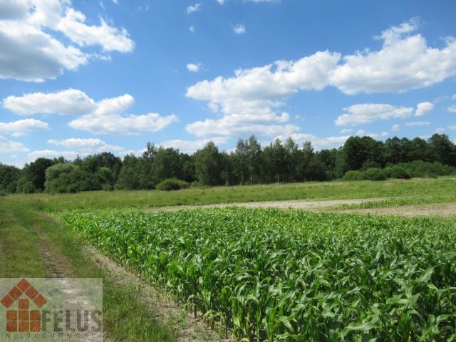 krakowski, Czernichów, Czernichów, Działka na sprzedaż