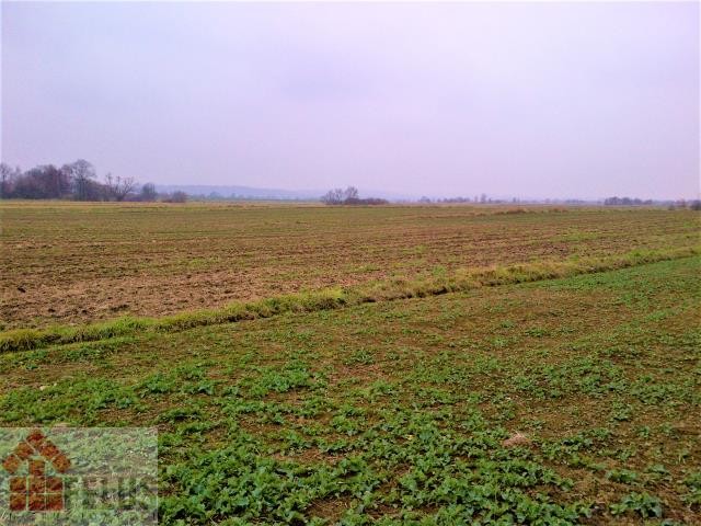 krakowski, Czernichów, Kłokoczyn, Działka na sprzedaż