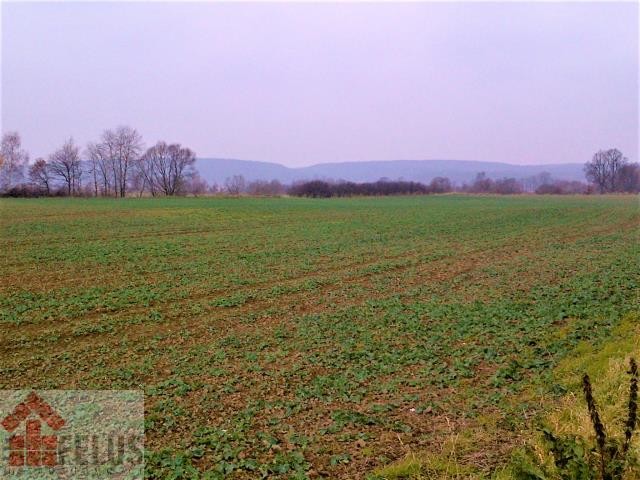 krakowski, Czernichów, Kłokoczyn, Działka na sprzedaż