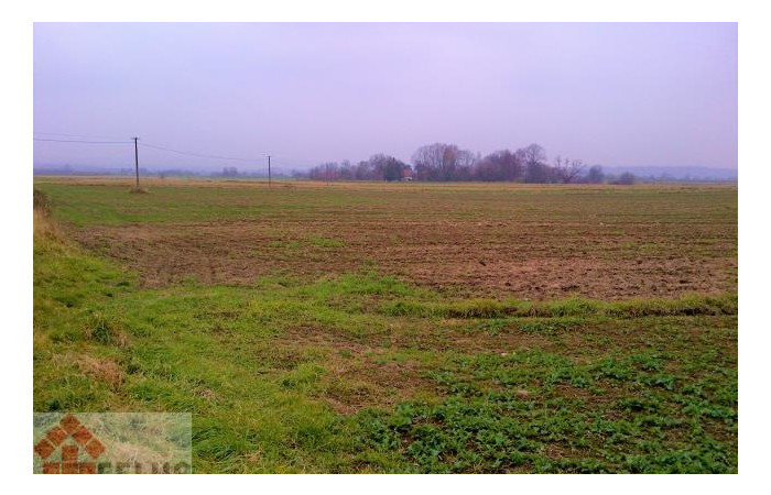 małopolskie, krakowski, Działka na sprzedaż