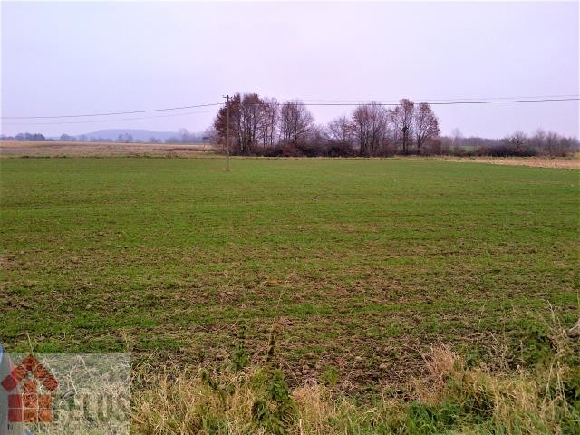 krakowski, Czernichów, Kłokoczyn, Działka na sprzedaż
