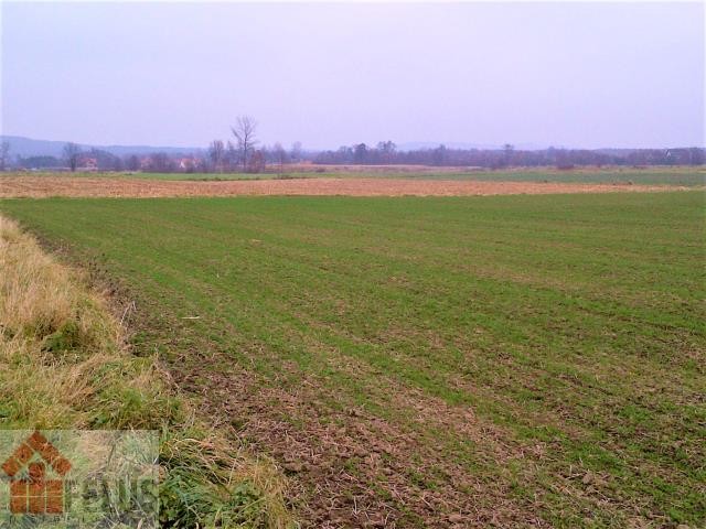 krakowski, Czernichów, Kłokoczyn, Działka na sprzedaż