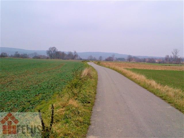 krakowski, Czernichów, Kłokoczyn, Działka na sprzedaż
