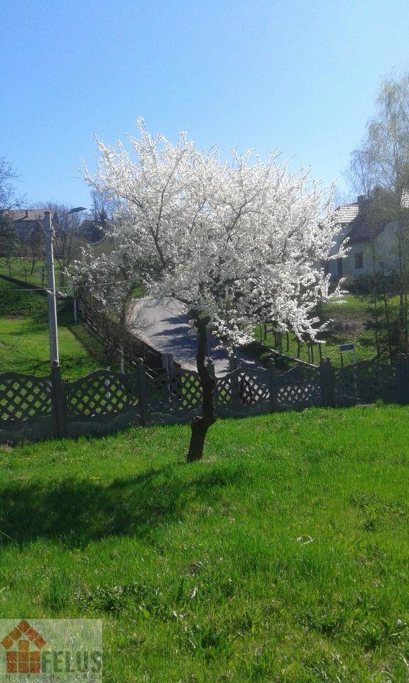 krakowski, Mogilany, Mogilany, Dom na sprzedaż
