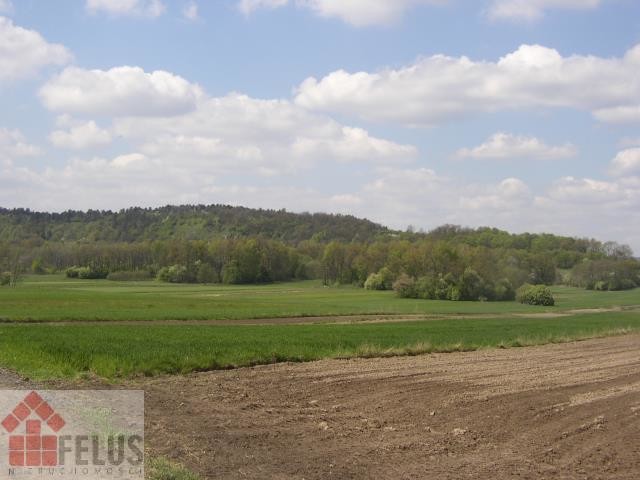 krakowski, Czernichów, Nowa Wieś Szlachecka, Działka na sprzedaż