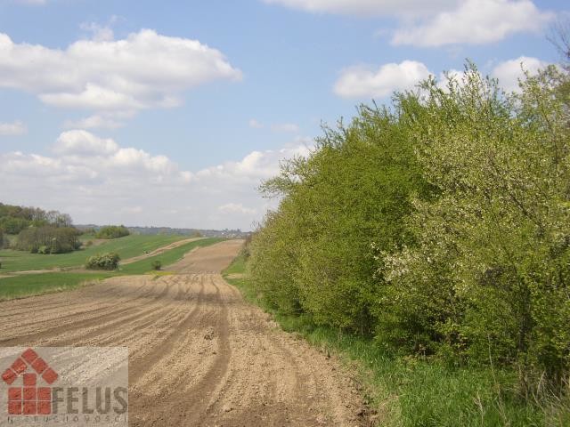 krakowski, Czernichów, Nowa Wieś Szlachecka, Działka na sprzedaż