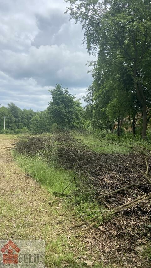 krakowski, Czernichów, Czernichów, Działka na sprzedaż