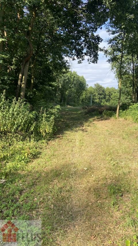 krakowski, Czernichów, Czernichów, Działka na sprzedaż