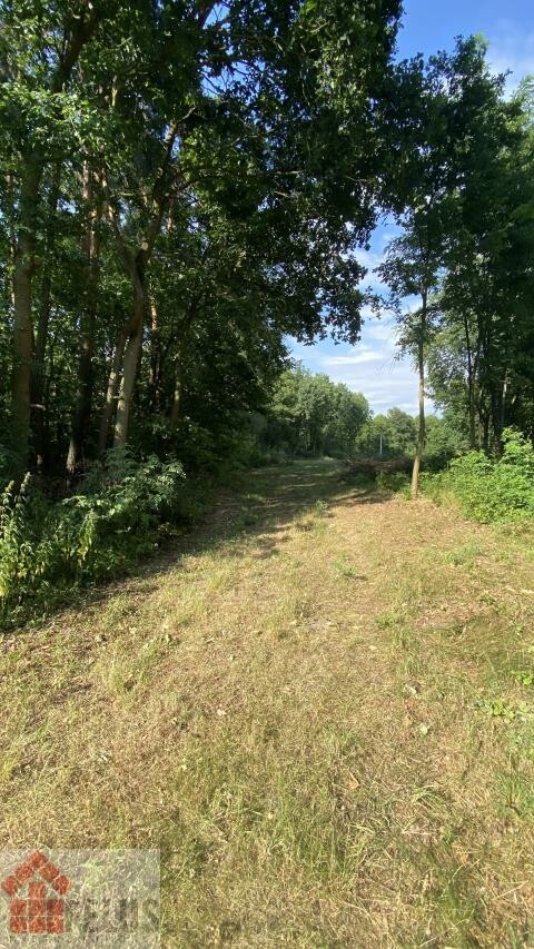 krakowski, Czernichów, Czernichów, Działka na sprzedaż