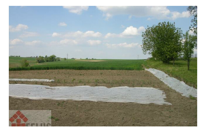 małopolskie, proszowicki, Działka na sprzedaż