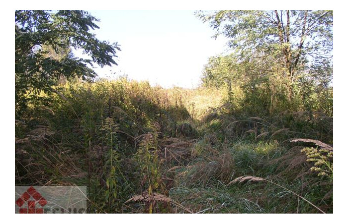 małopolskie, Kraków, Działka na sprzedaż