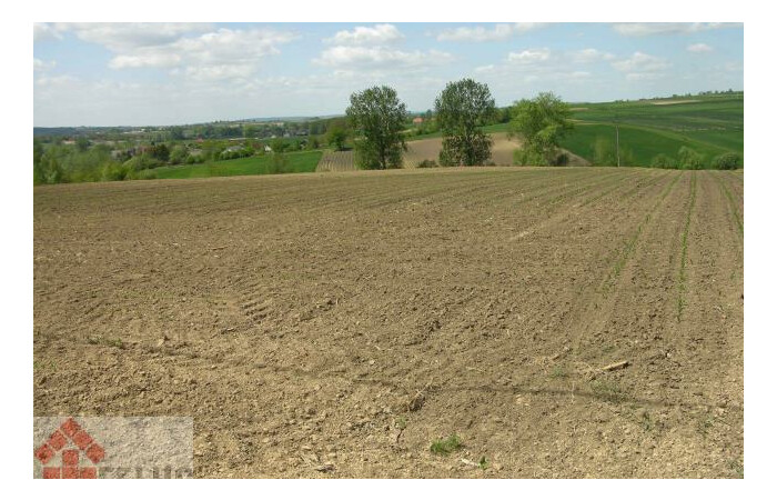 małopolskie, proszowicki, Działka na sprzedaż