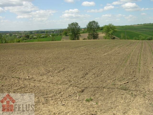 proszowicki, Proszowice, Opatkowice, Działka na sprzedaż