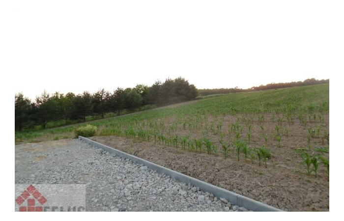 małopolskie, krakowski, Działka na sprzedaż