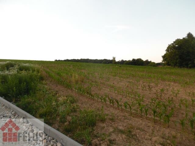 krakowski, Michałowice, Masłomiąca, Działka na sprzedaż