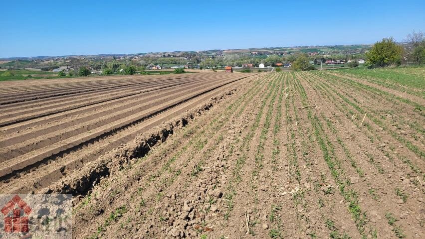 proszowicki, Proszowice, Proszowice, Działka na sprzedaż