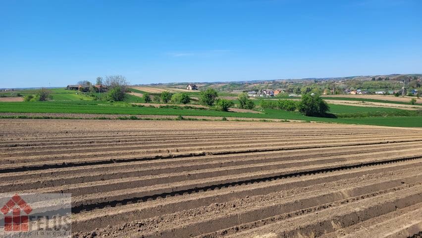 proszowicki, Proszowice, Proszowice, Działka na sprzedaż