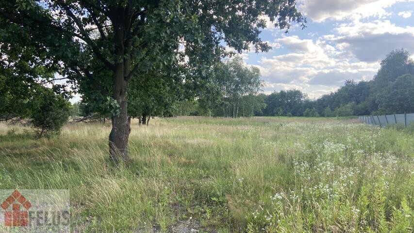 krakowski, Czernichów, Przeginia Narodowa, Działka na sprzedaż