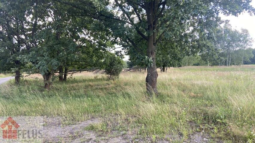 krakowski, Czernichów, Przeginia Narodowa, Działka na sprzedaż