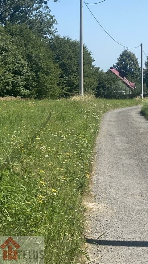 krakowski, Czernichów, Rybna, Działka na sprzedaż