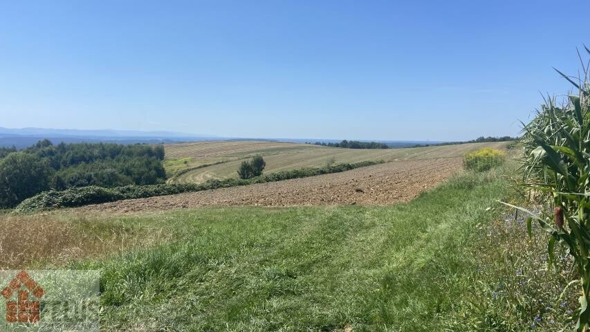 krakowski, Czernichów, Rybna, Działka na sprzedaż