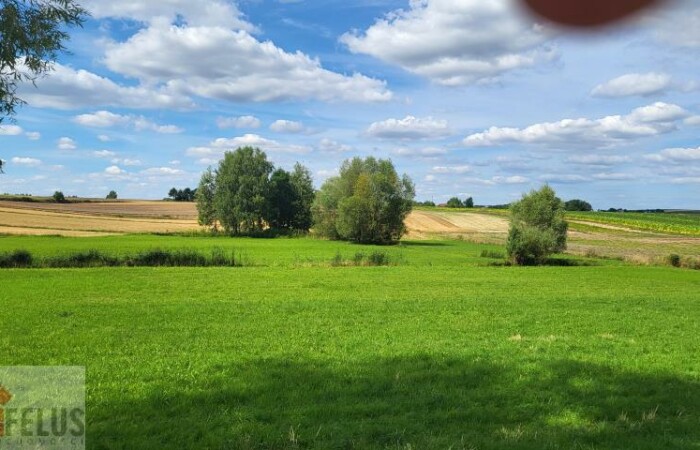 małopolskie, proszowicki, Działka na sprzedaż