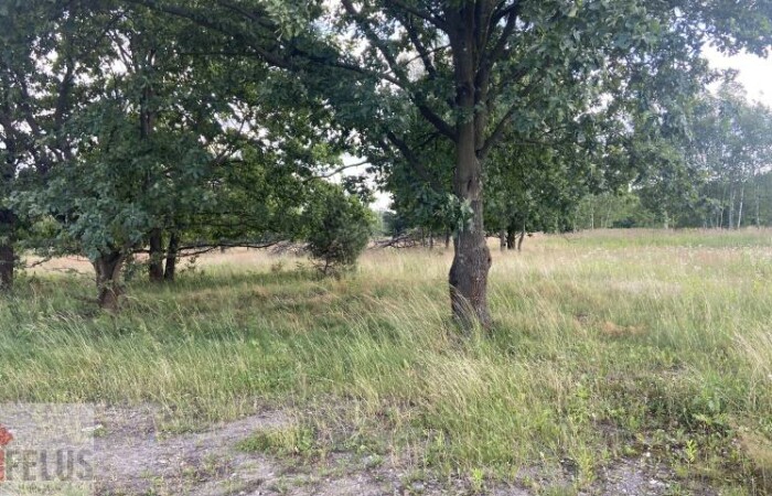 małopolskie, krakowski, Działka na sprzedaż
