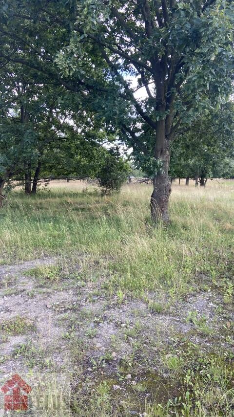 krakowski, Czernichów, Przeginia Narodowa, Działka na sprzedaż