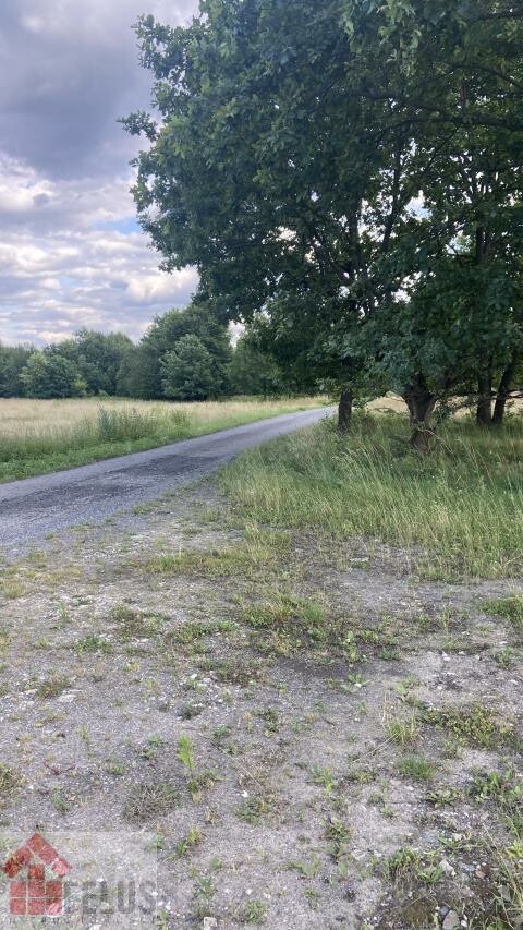 krakowski, Czernichów, Przeginia Narodowa, Działka na sprzedaż